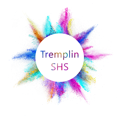 Appel à Projets « Tremplin SHS 2017 » – 2ème édition